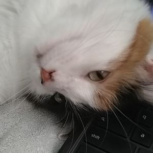 Meet your Posher, Luke